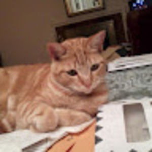 Meet your Posher, Chuck